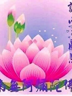 蓮花出淤泥而不染，濁清濓而不夭