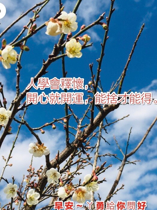 賞梅～向山遊客中心