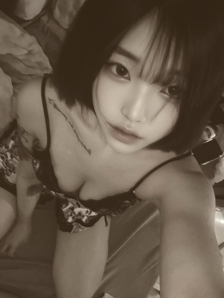 小野貓系列🐱