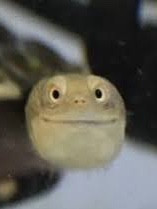 蔚藍海邊