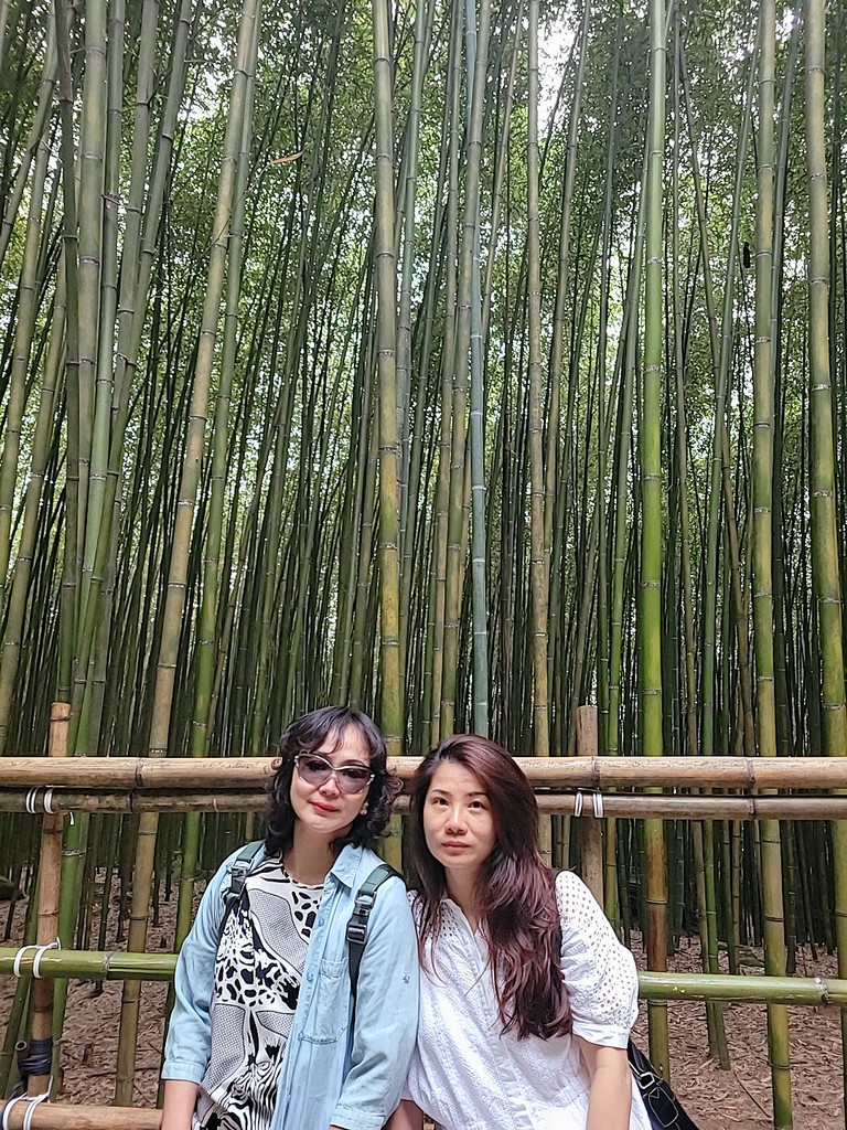 麗寶樂園苗栗 — lovelycat 的數位攝影集封面
