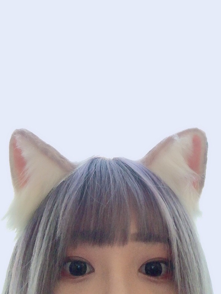 🐱貓貓阿渣🐱