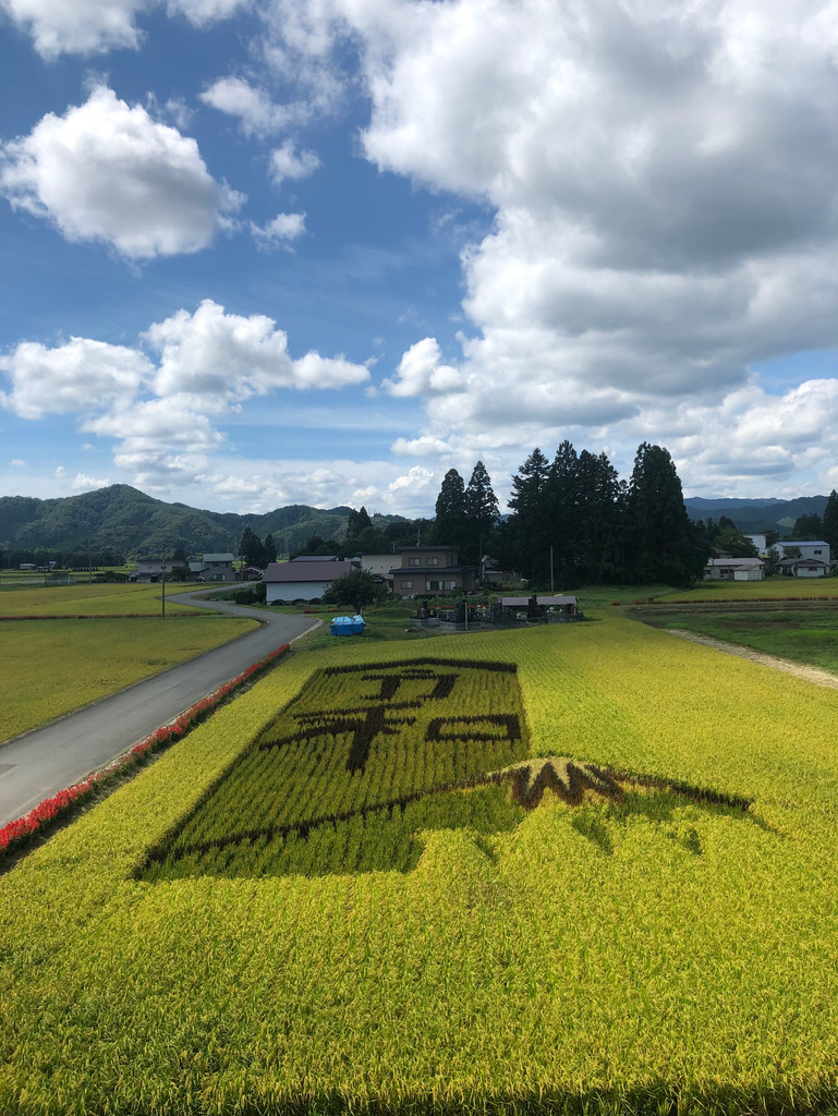 希望疫情快點結束，好想出國走走