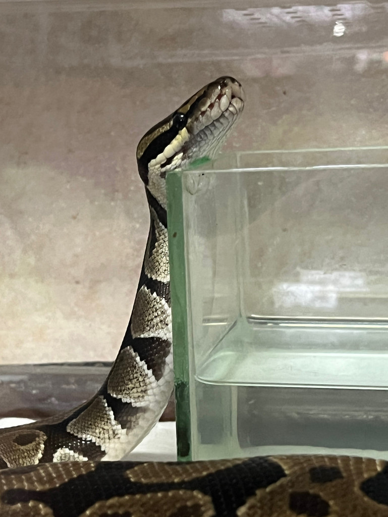我家是動物園吧？！